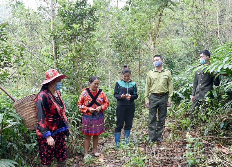 Cần xử lý nghiêm hành vi cản trở lực lượng bảo vệ rừng 