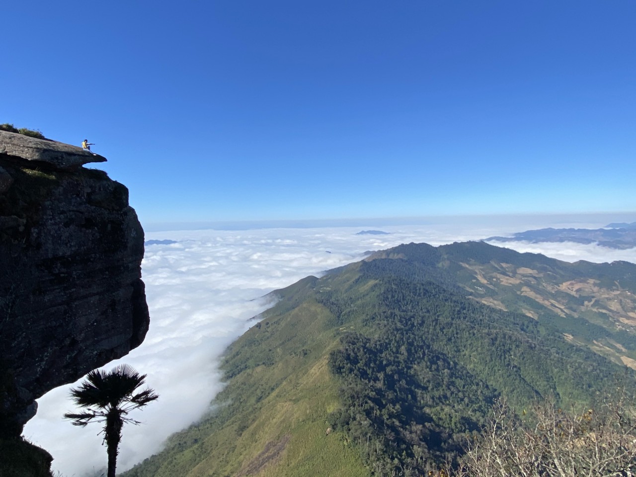 “Săn” mây và hoa đỗ quyên trên đỉnh Pha Luông