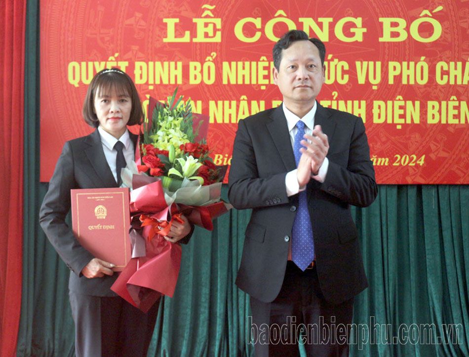 Bổ nhiệm Phó Chánh án TAND tỉnh Điện Biên