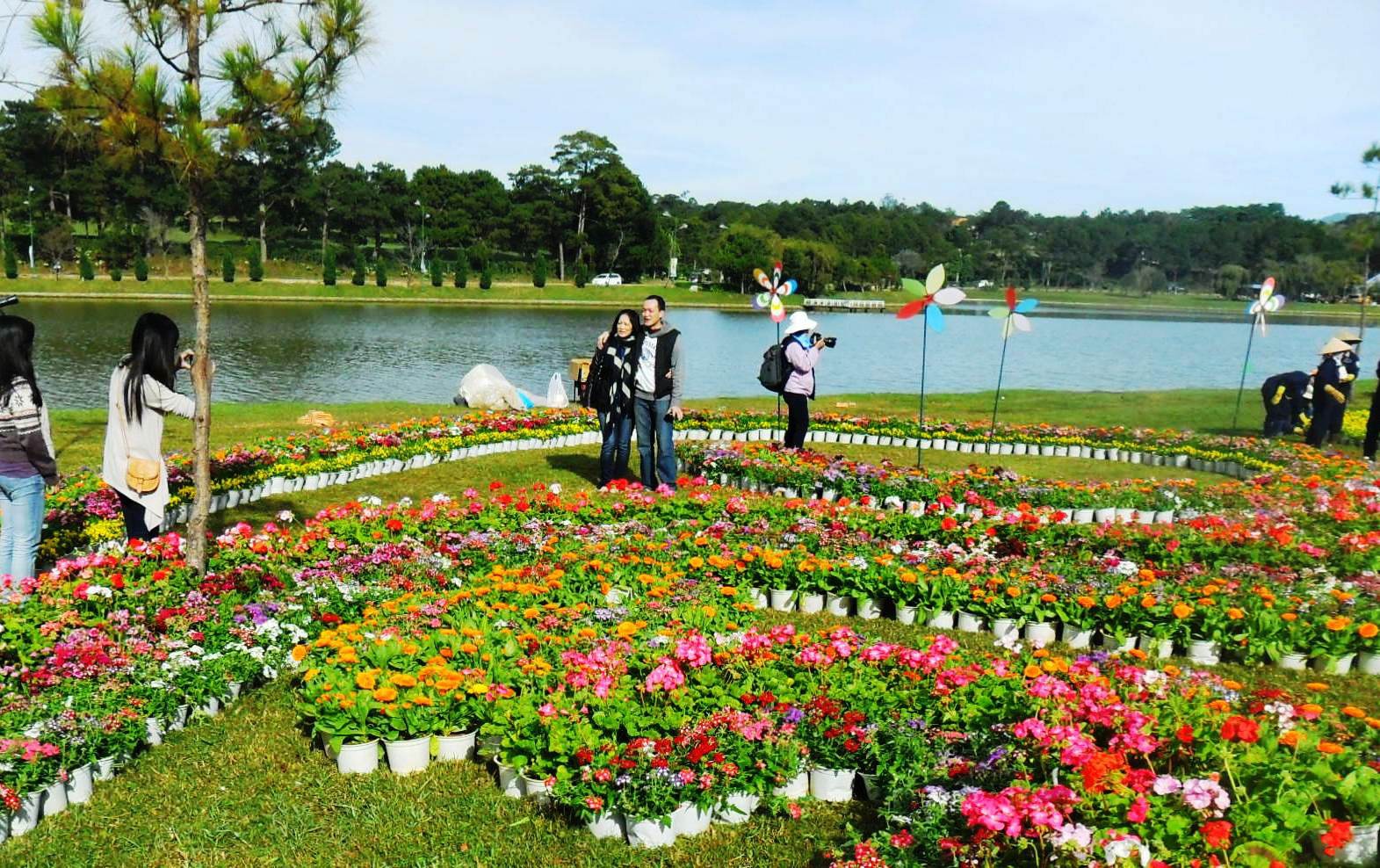 Festival hoa Đà Lạt 2022 dự kiến diễn ra từ ngày 1/11 đến hết ngày 31/12