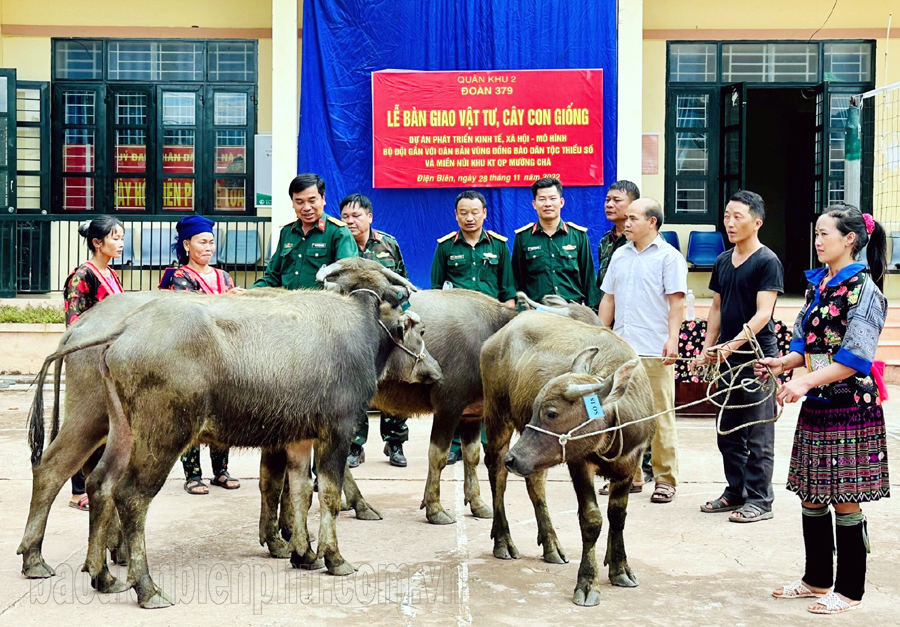 Đoàn KT-QP 379 trao 250 con trâu, bò giống hỗ trợ hộ nghèo