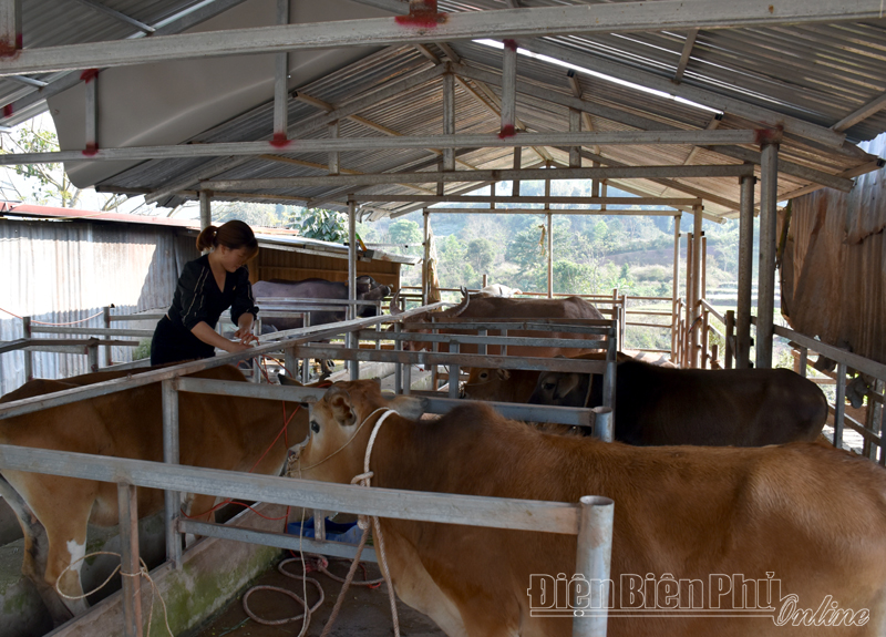Phòng chống dịch bệnh cho vật nuôi mùa nắng nóng