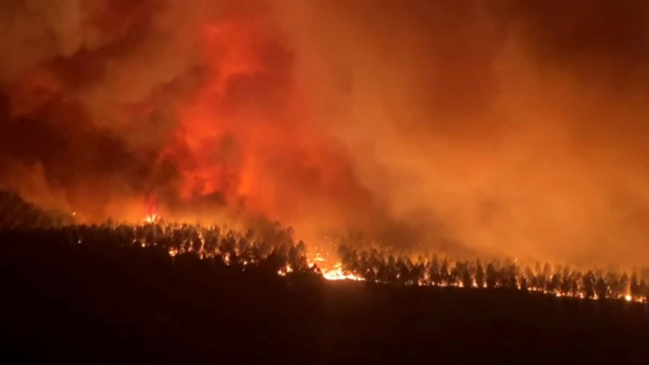 Số vụ cháy rừng tại châu Âu tăng mức kỷ lục