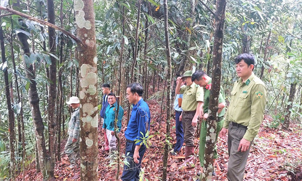 Phối hợp quản lý và bảo vệ rừng