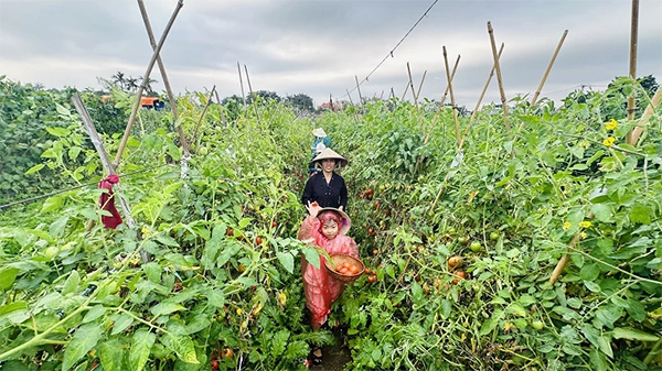 Đến Giang Biên trải nghiệm du lịch nông nghiệp gắn với cộng đồng