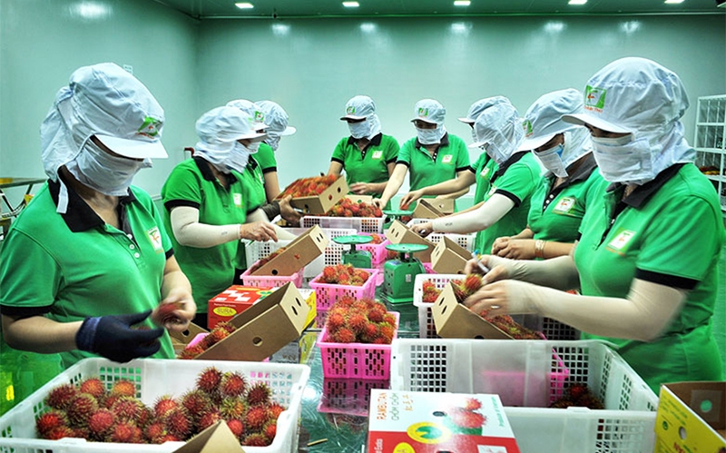 Nửa đầu tháng 1, xuất khẩu hàng hóa của Việt Nam tăng 4,1%